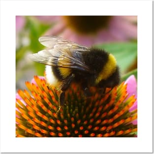 Cute Bumble Bee Posters and Art